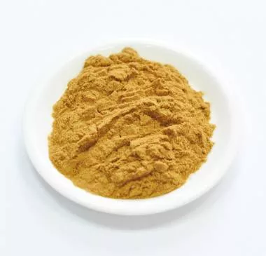 Сухой экстракт лисичек -полисахариды 10% (лат. Cantharellus cibarius fr)